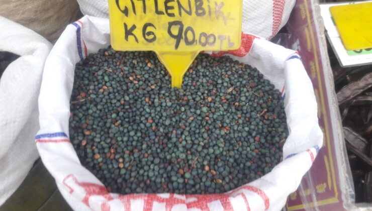 ÇİTLEMBİK MEYVESİ ŞİFA DAĞITIYOR