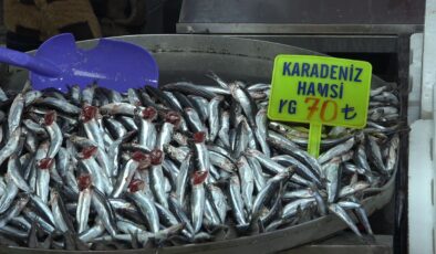 <strong>Balık tezgahları çinekop ile şenlendi</strong>