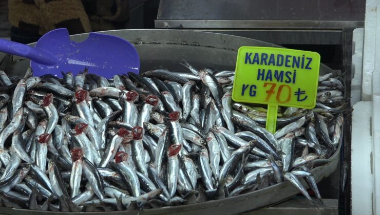 <strong>Balık tezgahları çinekop ile şenlendi</strong>