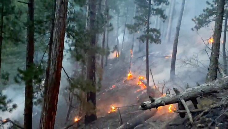 ORMAN YANGINI KONTROL ALTINA ALINDI