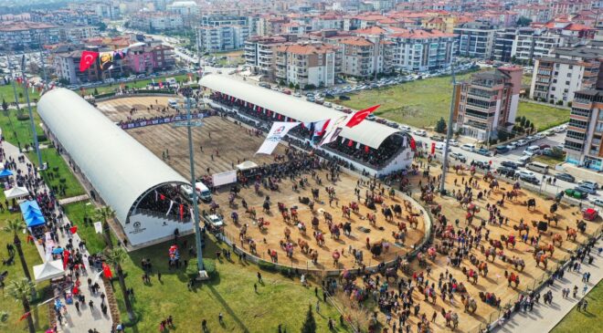 Denizli’de 120 pehlivan deve güreşmeye başladı