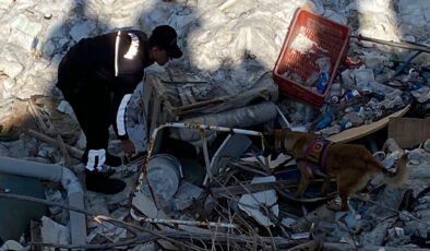 KAYIP MİNE KADAVRA KÖPEKLERİYLE ARANIYOR