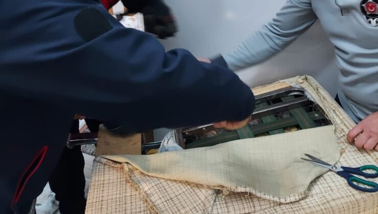 YARAMAZ KEDİ İTFAİYEYİ SEFERBER ETTİ