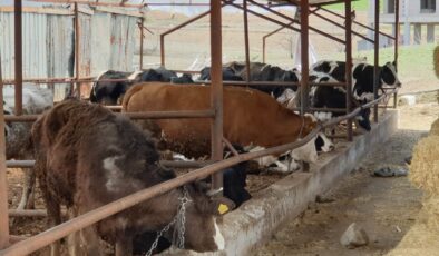 ŞAP ALARMI VERİLDİ