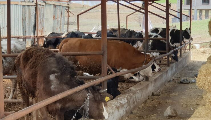 ŞAP ALARMI VERİLDİ