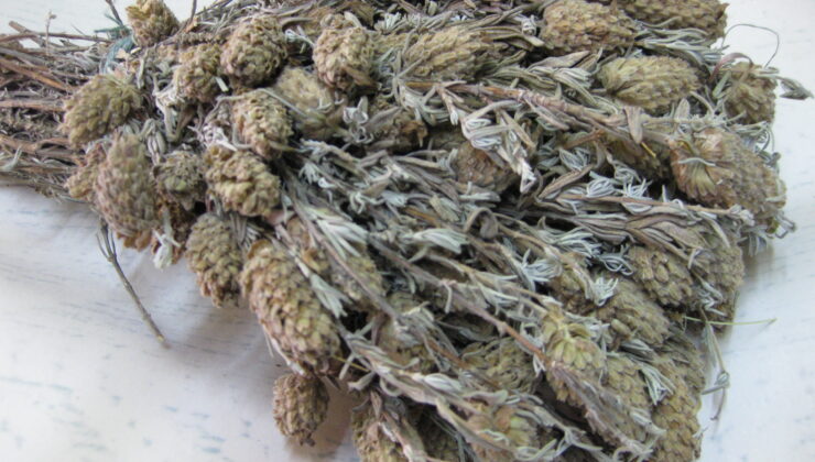 GRİPSAVAR OLARAK TÜKETİLİYOR