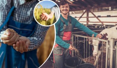 UZMAN ELLER PROJESİ’NDE HİBE DESTEĞİ ARTTI