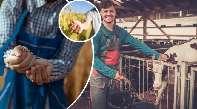 UZMAN ELLER PROJESİ’NDE HİBE DESTEĞİ ARTTI