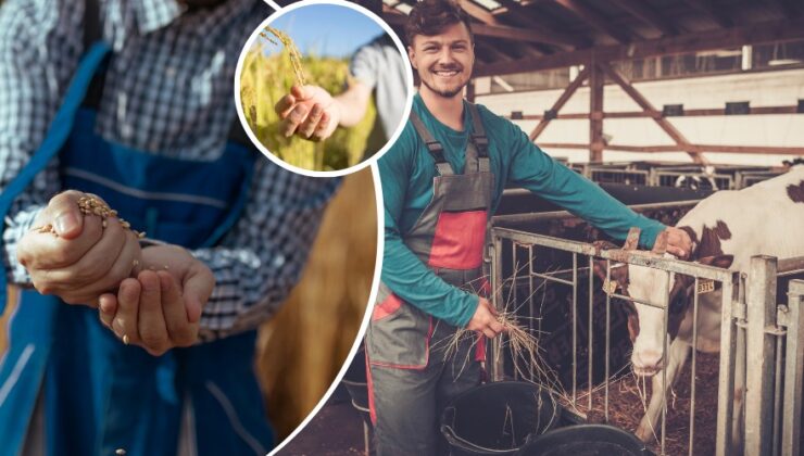 UZMAN ELLER PROJESİ’NDE HİBE DESTEĞİ ARTTI