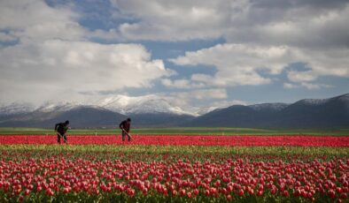 JAPONYA DEFSAD ÜYELERİNİN FOTOĞRAFLARIYLA RENKLENECEK