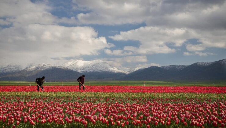 JAPONYA DEFSAD ÜYELERİNİN FOTOĞRAFLARIYLA RENKLENECEK