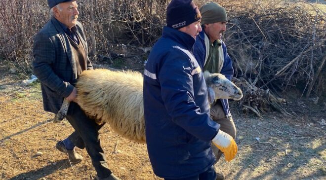 DEPREM BÖLGESİ İÇİN HAYVAN BAĞIŞLADILAR