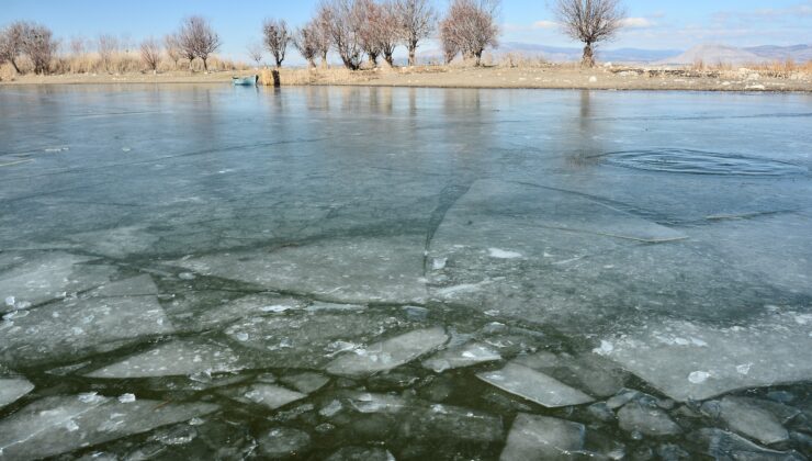 NİLÜFERLERİYLE MEŞHUR IŞIKLI GÖLÜ DONDU