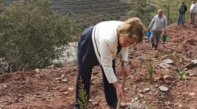 Çevreci Belediyeler fidanları toprakla buluşturdu