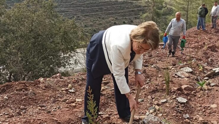 Çevreci Belediyeler fidanları toprakla buluşturdu