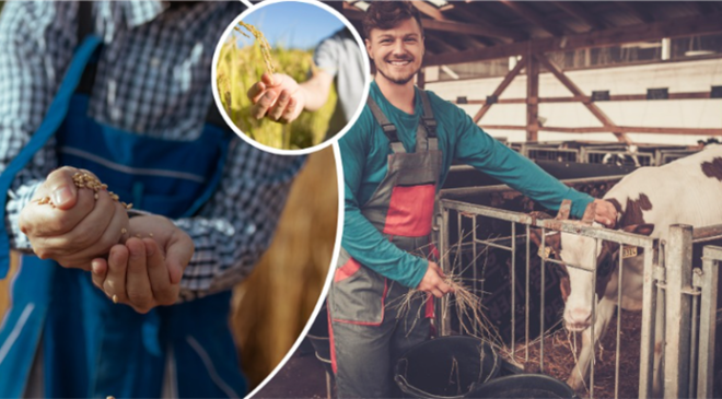 UZMAN ELLER PROJELERİNE EK SÜRE İMKANI GETİRİLDİ