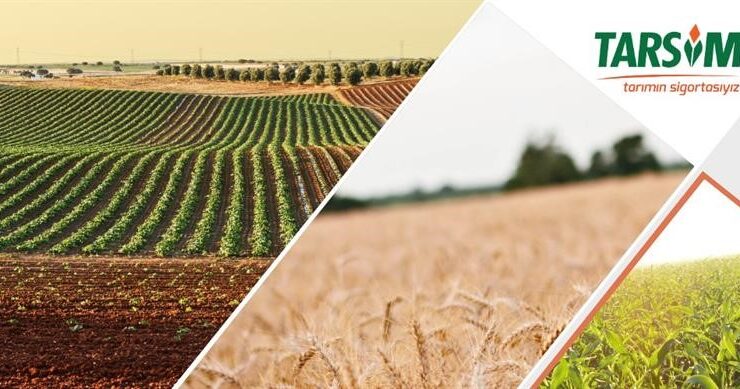 HASAR FAZLASI DESTEĞİNE İLİŞKİN CUMHURBAŞKANI KARARI YAYIMLANDI