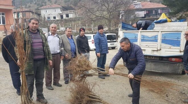 ATIL ALANLAR KESTANELERLE DOLACAK