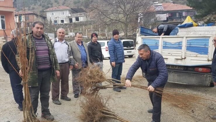 ATIL ALANLAR KESTANELERLE DOLACAK