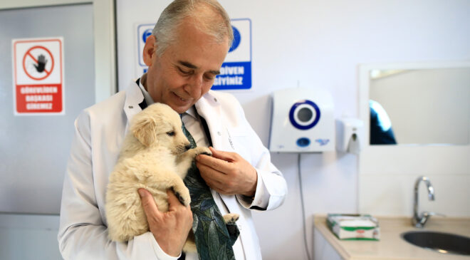 BÜYÜKŞEHİR İLE CAN DOSTLAR DA, HAYVANSEVERLER DE ÇOK MUTLU