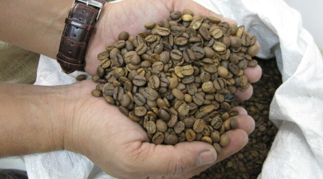 TADINA DOYUM OLMUYOR