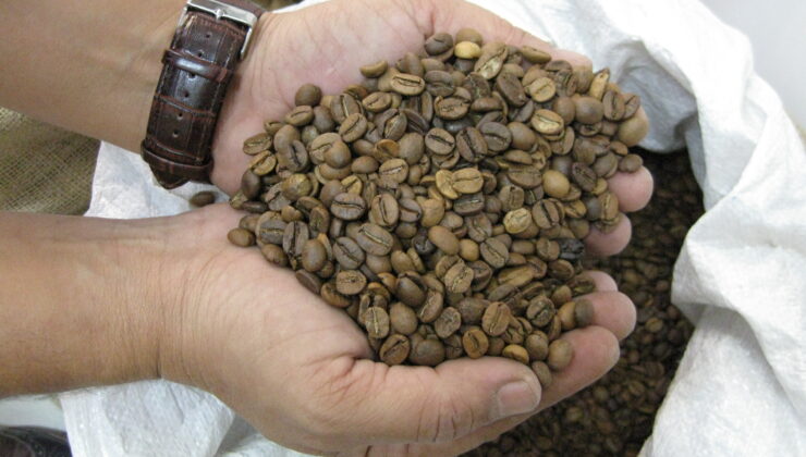 TADINA DOYUM OLMUYOR