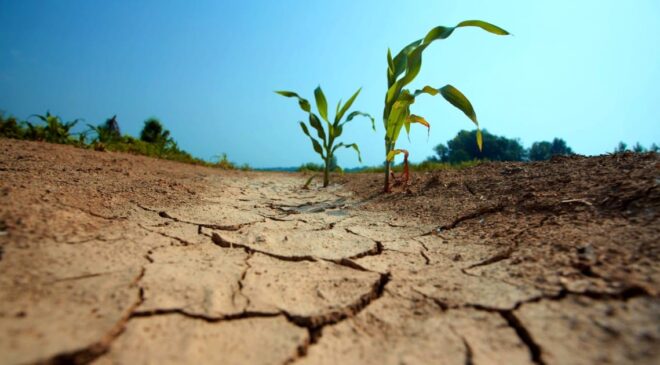YAĞIŞLAR %31 ORANINDA AZALDI