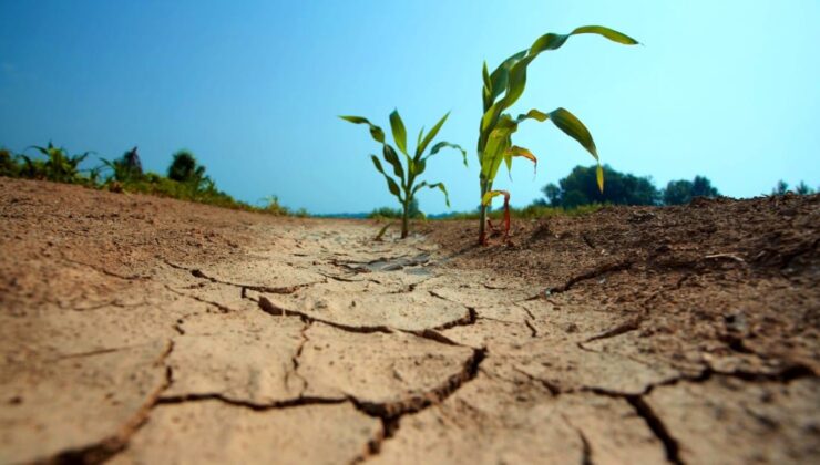 YAĞIŞLAR %31 ORANINDA AZALDI