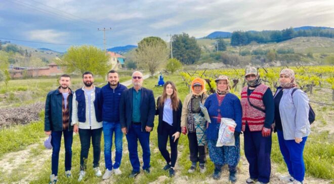 BAĞLARDA SALKIM GÜVESİYLE MÜCADELE SÜRÜYOR