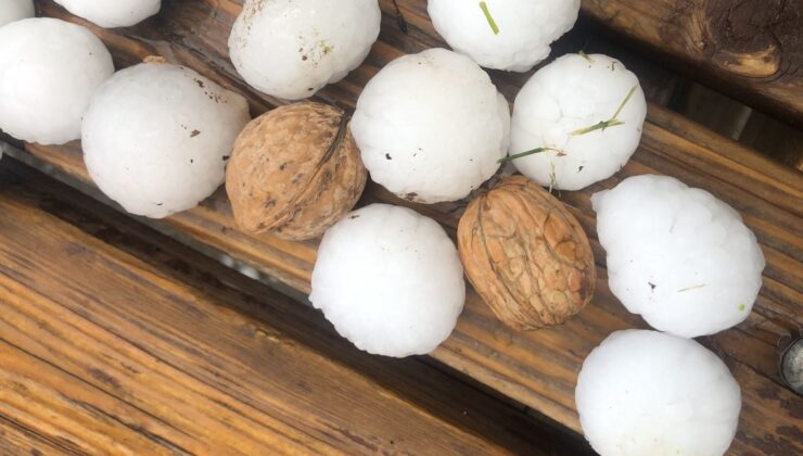 CEVİZ BÜYÜKLÜĞÜNDEKİ DOLU MİLYONLUK HASARA NEDEN OLDU