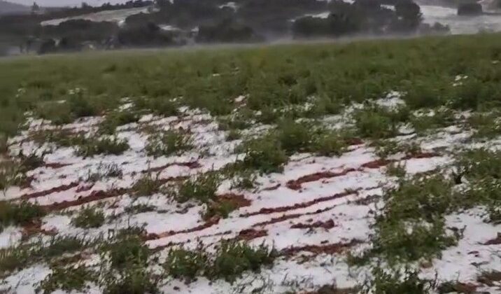 Dolu yağışı üzüm bağlarını vurdu