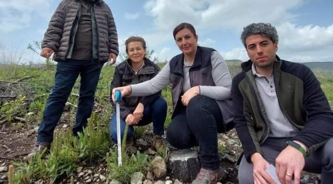 YANAN ORMANLIK ALANLAR YEŞİLLENDİRİLİYOR