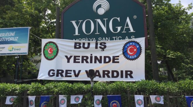 YONGA’DA GREV BİR AYI YARILADI