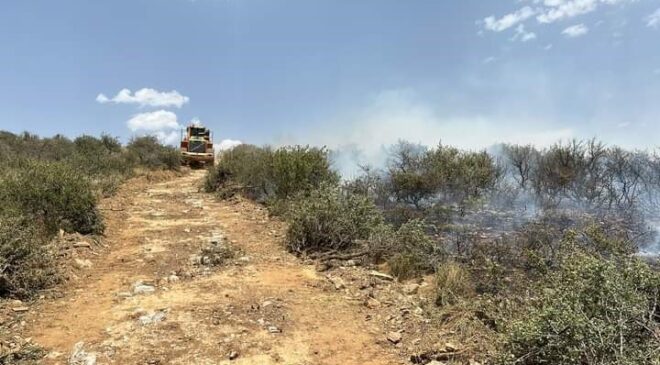 YANGINDA 20 DEKAR ALAN ZARAR GÖRDÜ