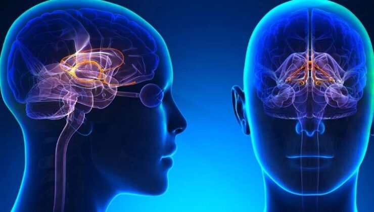 “HAFIZA DİYETİ ALZHEİMER RİSKİNİ AZALTABİLİR”