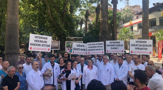 VETERİNERLER İSYANDA: BİR GÜNLÜĞÜNE İŞ BIRAKTILAR