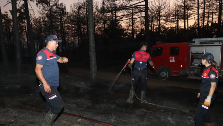 YANGINDA 20 HEKTAR ALAN KÜL OLDU