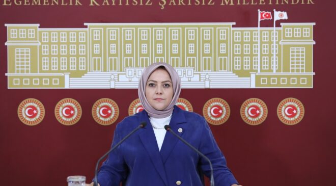 MİLLETVEKİLİ SEMA SİLKİN ÜN: RİSKİN DAHA DA ARTMASINA SEBEBİYET VERİLMİŞTİR