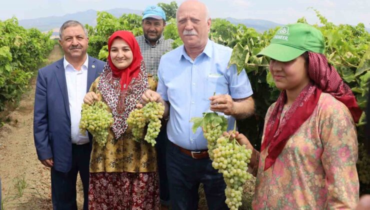 DENİZLİ İLK SIRALARDA YER ALIYOR