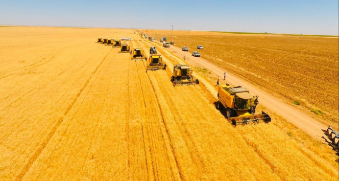 MEMİŞ: “TÜRKİYE, GIDA SEKTÖRÜNDE ÖNEMLİ HAMLELERLE KÜRESEL GÜCÜNÜ ARTIRIYOR”