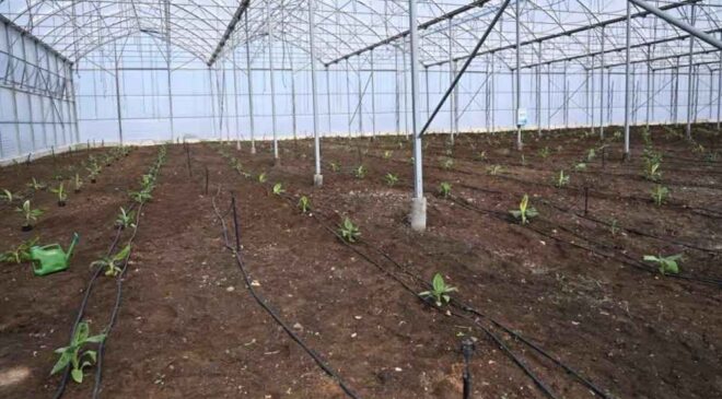 BAKAN YUMAKLI: 2028 YILINDA SERA OTB SAYISINI 100’E ÇIKARMAYI HEDEFLİYORUZ