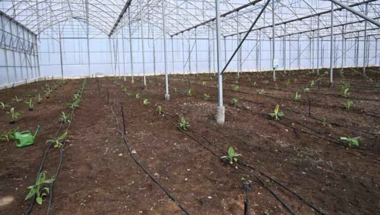 BAKAN YUMAKLI: 2028 YILINDA SERA OTB SAYISINI 100’E ÇIKARMAYI HEDEFLİYORUZ