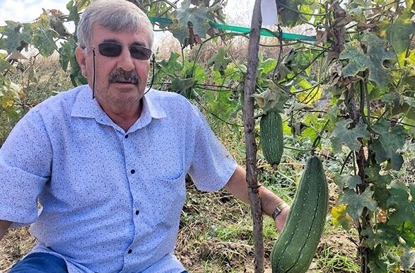 DENİZLİ’DE İLK KEZ LİF KABAĞI YETİŞTİRİLDİ