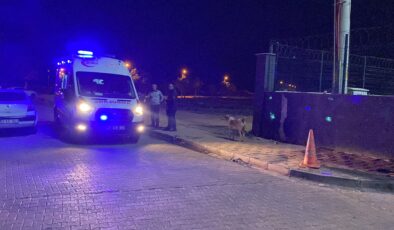 ASANSÖR KAZASININ DETAYLARI BELLİ OLDU !