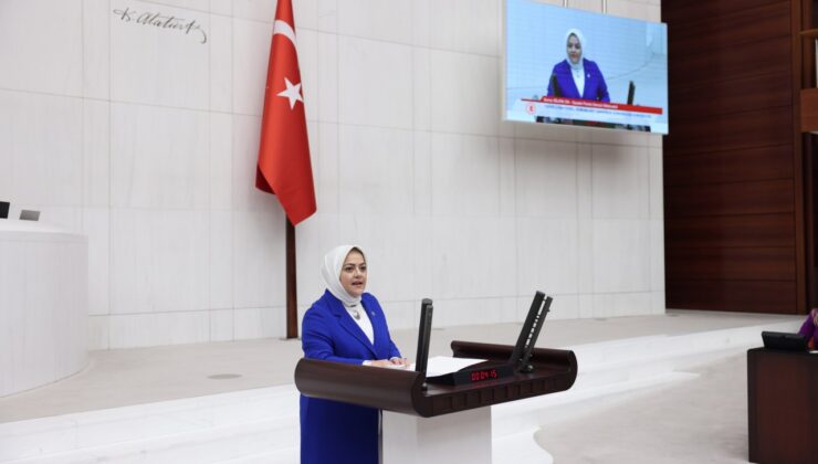 DENİZLİ MİLLETVEKİLİ ÜN, DENİZLİ’NİN TÜM SORUNLARINI MECLİS KÜRSÜSÜNDE GÜNDEME GETİRDİ