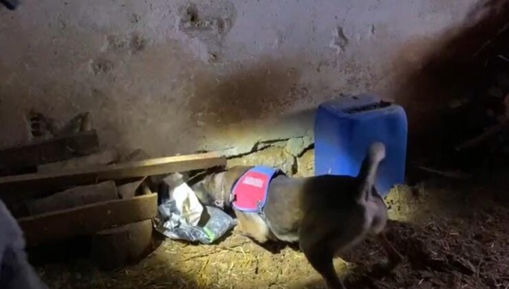 TARİHİ ESER VE UYUŞTURUCUYLA YAKALANDI