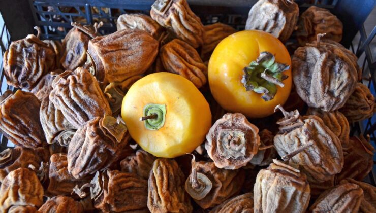 CENNET HURMALARI SOFRALARI SÜSLÜYOR