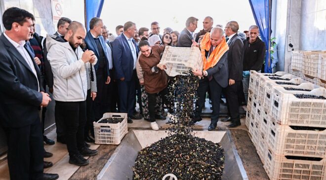 ZEYTİNYAĞI ÜRETİM TESİSİ HİZMETE GİRDİ