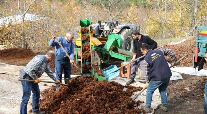 KIŞIN VAZGEÇİLMEZ LEZZETİ KESTANENİN SOFRALARA YOLCULUĞU BAŞLADI