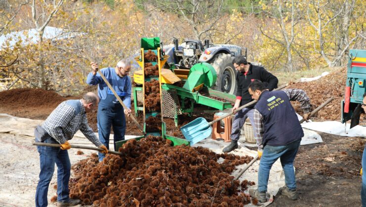 KIŞIN VAZGEÇİLMEZ LEZZETİ KESTANENİN SOFRALARA YOLCULUĞU BAŞLADI